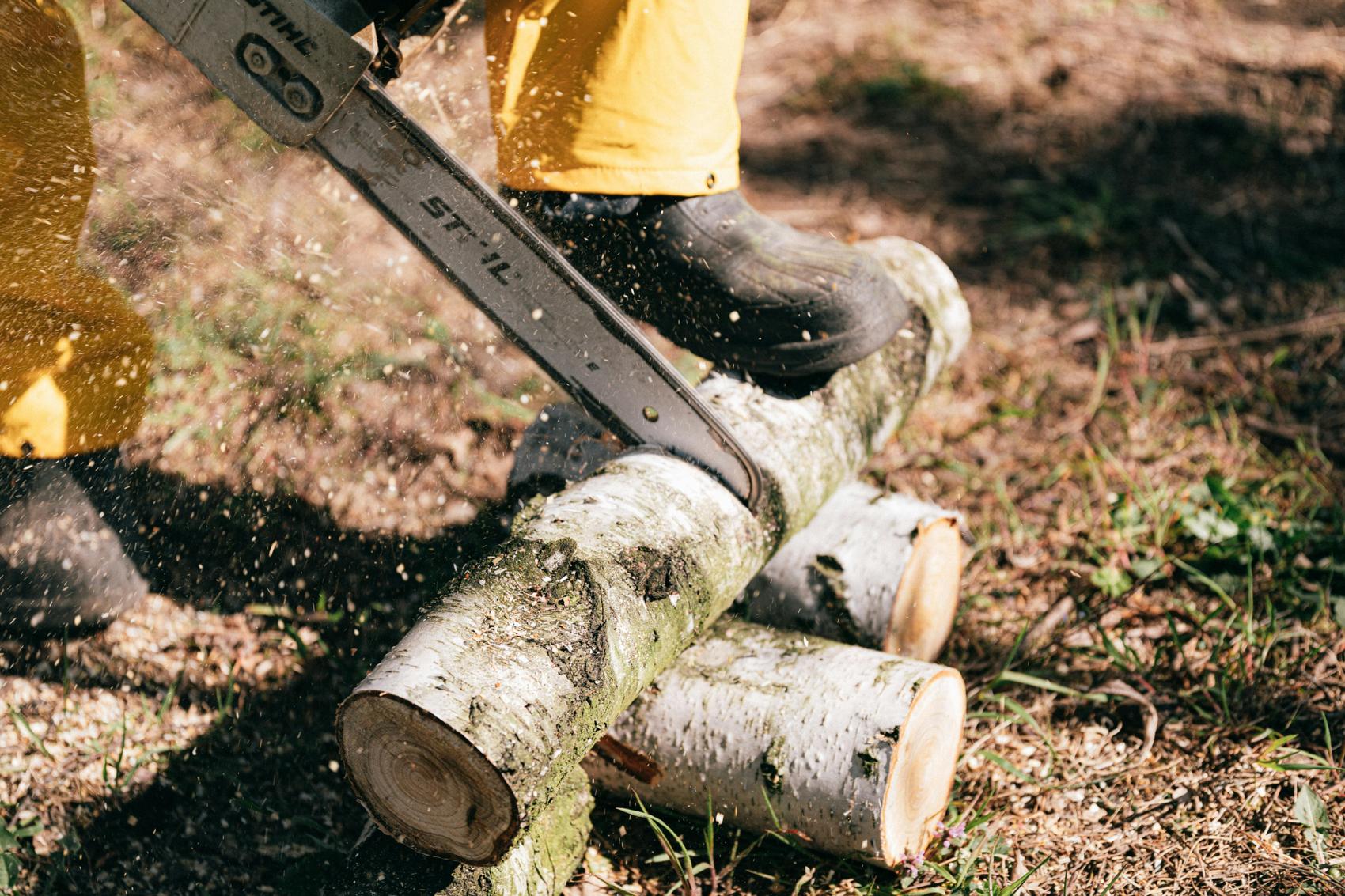 Revolutionierung der Forstwirtschaft: Die Stihl Drohnenkettensäge